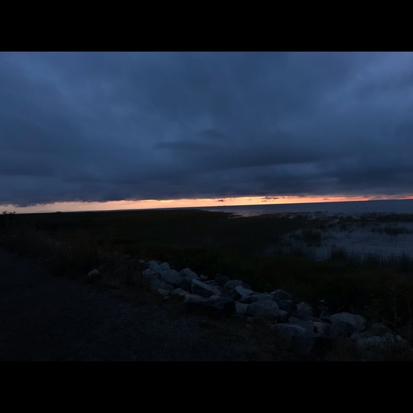 Meet your Posher, Darcie - Picture 1 of 1